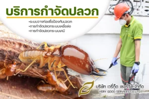 vgs กำจัดปลวก
