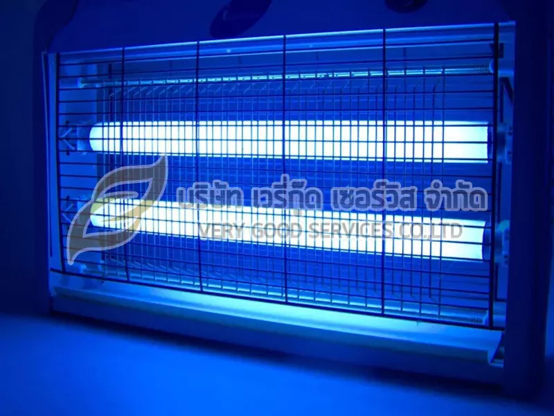 กำจัดแมลงวัน