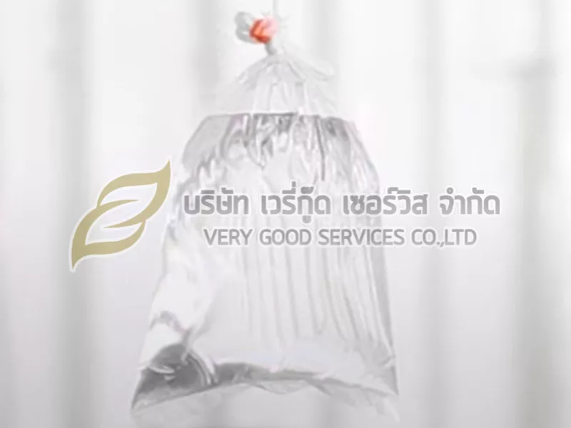 กำจัดแมลงวัน