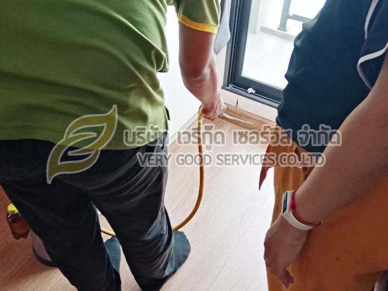 กำจัดปลวก