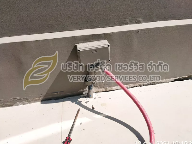 กำจัดปลวก