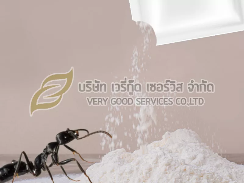 กำจัดมด