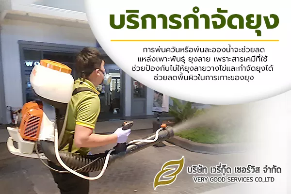 กำจัดยุง